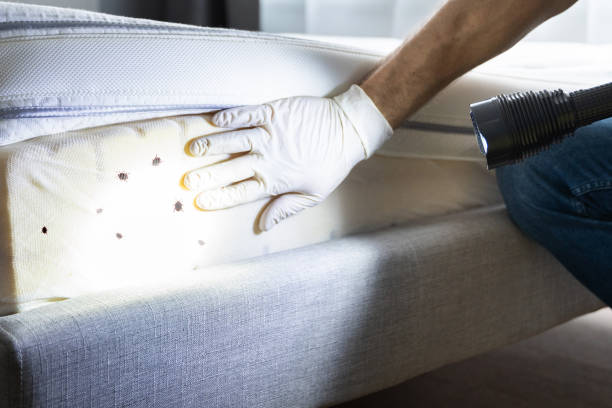 Best Emergency Pest Control  in Crocker, WA