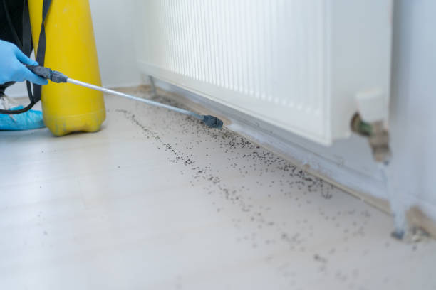 Best Pest Inspection Near Me  in Crocker, WA