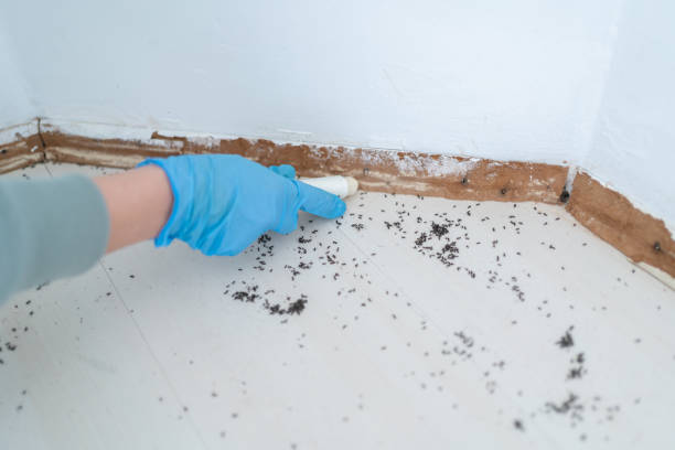 Best Insect Control  in Crocker, WA