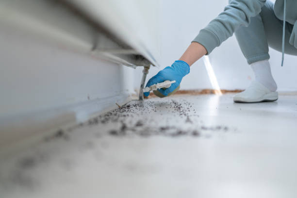 Best Rodent Control Near Me  in Crocker, WA